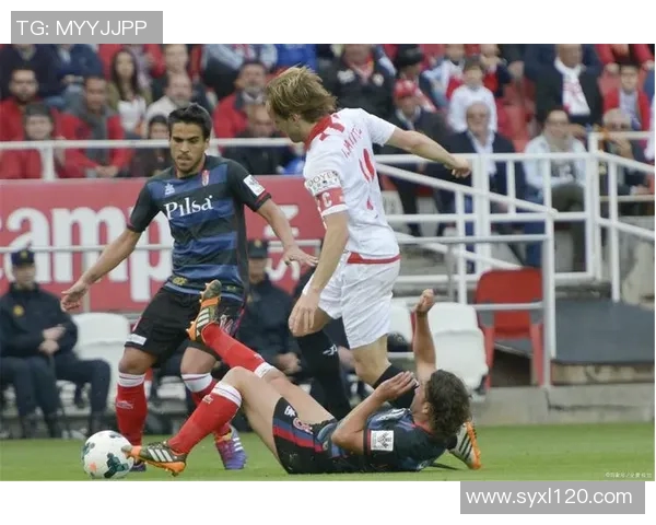 皇家贝迪斯主场迎战切尔达期待精彩对决与胜利之路